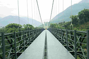 專(zhuān)業(yè)程度深 專(zhuān)業(yè)程度深